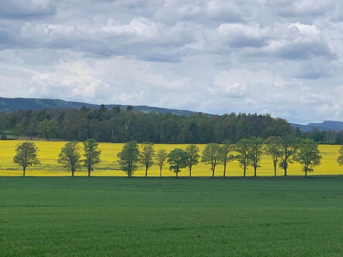 Dom na wzgórzu Polanica-Zdrój Exterior foto