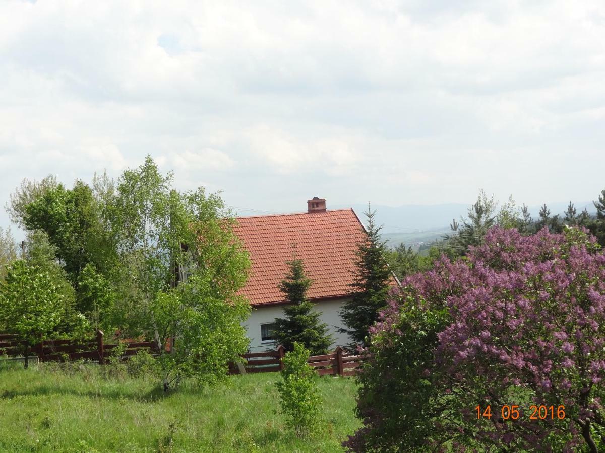 Dom na wzgórzu Polanica-Zdrój Exterior foto