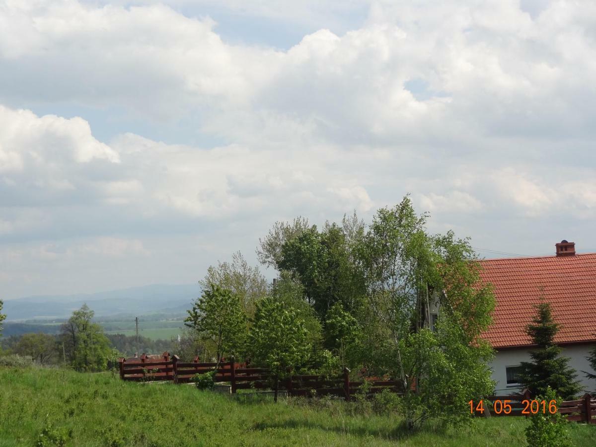 Dom na wzgórzu Polanica-Zdrój Exterior foto